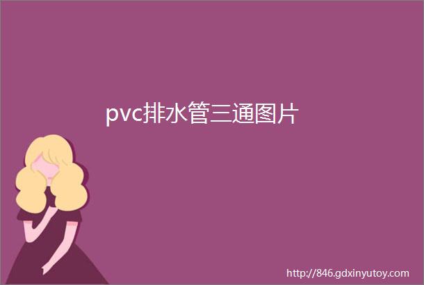 pvc排水管三通图片